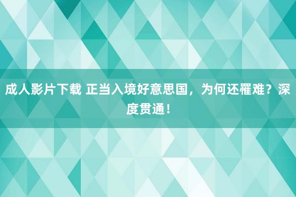 成人影片下载 正当入境好意思国，为何还罹难？深度贯通！
