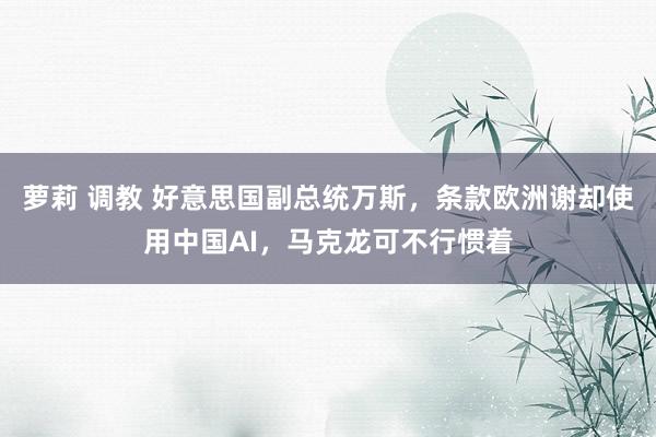 萝莉 调教 好意思国副总统万斯，条款欧洲谢却使用中国AI，马克龙可不行惯着