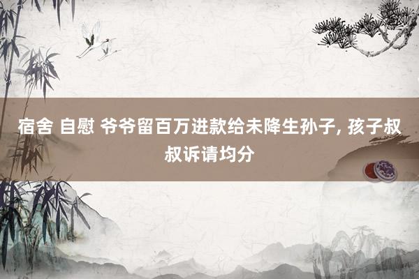 宿舍 自慰 爷爷留百万进款给未降生孙子, 孩子叔叔诉请均分