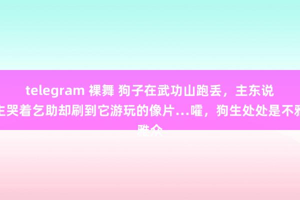 telegram 裸舞 狗子在武功山跑丢，主东说念主哭着乞助却刷到它游玩的像片…嚯，狗生处处是不雅众