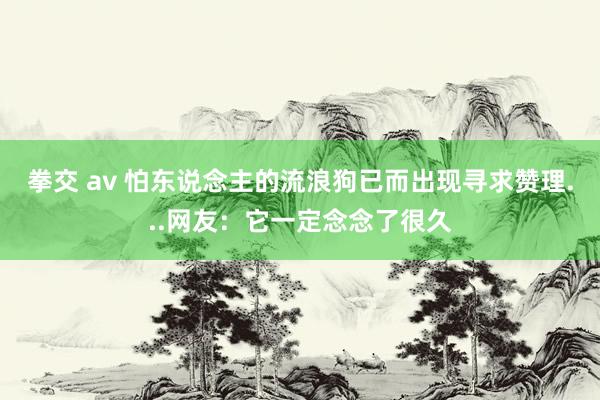 拳交 av 怕东说念主的流浪狗已而出现寻求赞理...网友：它一定念念了很久